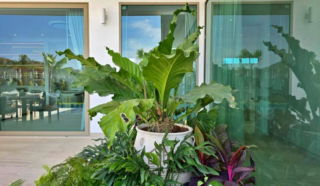 batch_LINE_ALBUM_The Mountains 12.9_260427_23