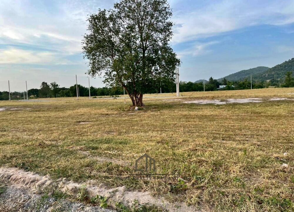 batch_LINE_ALBUM_Land For Sale_260529_4