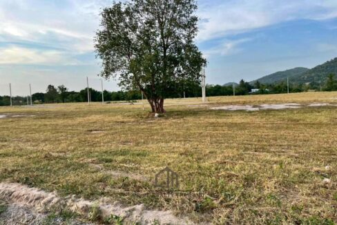 batch_LINE_ALBUM_Land For Sale_260529_4